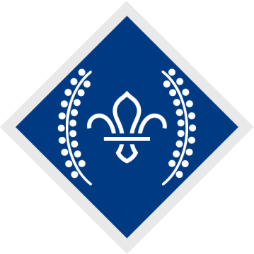 Chief Scout’s Diamond Award