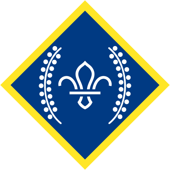 Chief Scout’s Platinum Award