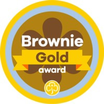 Brownie Gold Award