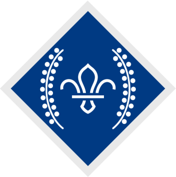 Chief Scout’s Diamond Award