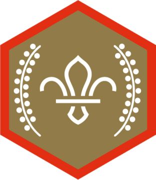 Chief Scout’s Gold Award