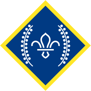 Chief Scout’s Platinum Award