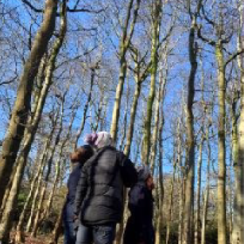 Learning How Pitlochry High School Won the Scotland’s Finest Woods Award