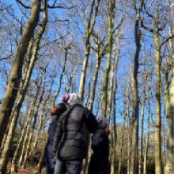 Learning How Pitlochry High School Won the Scotland’s Finest Woods Award