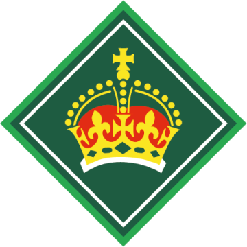 King’s Scout Award