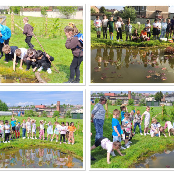 Creating a Pond with Linnvale Primary School