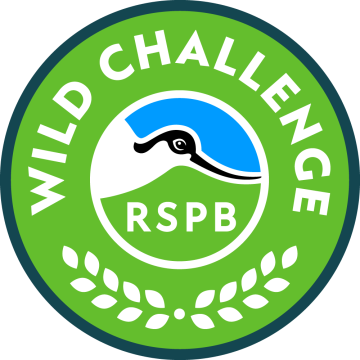 Wild Challenge Award
